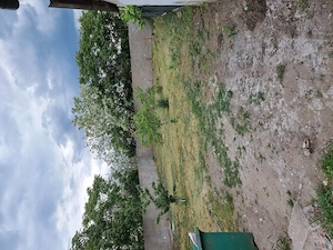 Casa în comuna Lovrin - imagine 7