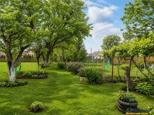 Casa traditionala, cu 709 mp teren intravilan zona apreciabila, Sfantu Gheorghe - imagine 6