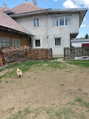 Proprietate de vânzare în Bucovina, localitatea Câmpulung Moldovenesc, județul Suceava  - imagine 3