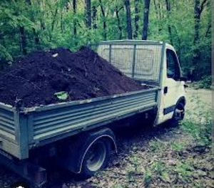 Pamnat vegetal de pădure calitate premium 