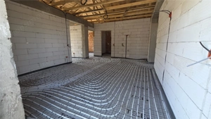 Casa 4 camere Domnesti - Teghes - imagine 8