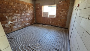 Casa 4 camere Domnesti - Teghes - imagine 9