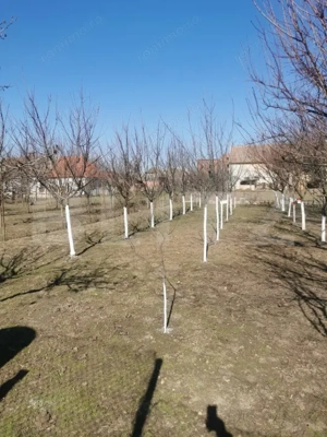 Casa de vanzare, 6 camere, 535 mp, zona Varias  - imagine 11