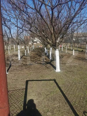 Casa de vanzare, 6 camere, 535 mp, zona Varias  - imagine 10