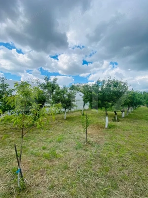 Casa pe parter, 2.753 mp teren, Marotinu de Sus, Celaru - imagine 8