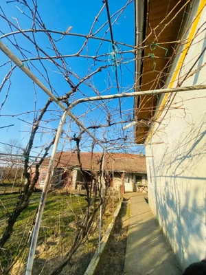 Casa pe parter, 2.753 mp teren, Marotinu de Sus, Celaru - imagine 2