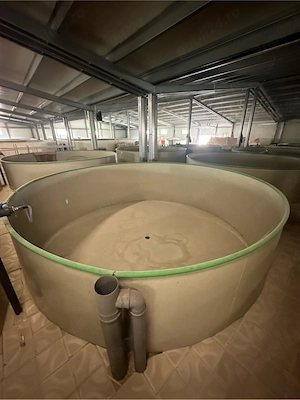 Bazin Industrial   Acvacultură cu Recirculare