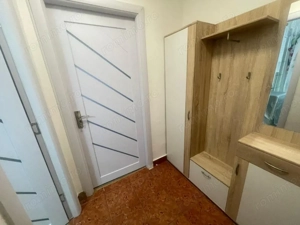 Garsonieră mobilată/utilată, 29.42 mp, zona Brazda lui Novac - imagine 7