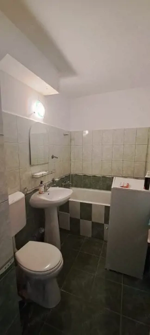 Apartament cu 2 camere, bvd Nicolae Titulescu / Scoala Decebal - imagine 9