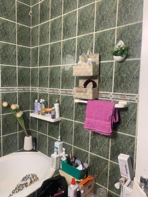 Apartament 3 camere, 66 mp, Gradina Botanica  - imagine 12