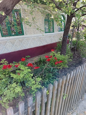 Vand casa locuibila - imagine 4