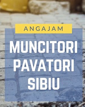 Angajez muncitori pavatori calificati si necalificati