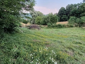 Teren intravilan cu izvor 