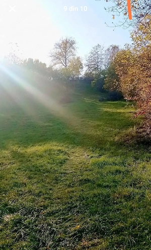 Teren intravilan cu izvor  - imagine 3