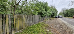 Domeniu polivalent, ideal pentru 2 familii / afacere, 300 mp, zona Sud - imagine 3