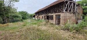Domeniu polivalent, ideal pentru 2 familii / afacere, 300 mp, zona Sud - imagine 2