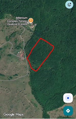 Vand pădure la 10 km de Cluj