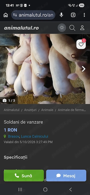 Soldani de vanzare