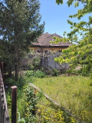 Casă de vânzare în comuna Caraula – 65 mp, teren generos 2800 mp - imagine 3