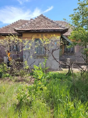 Casă de vânzare în comuna Caraula – 65 mp, teren generos 2800 mp - imagine 5