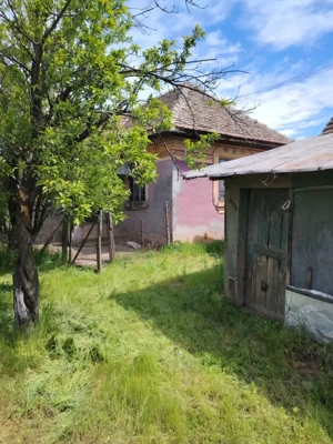 Casă de vânzare în comuna Caraula – 65 mp, teren generos 2800 mp - imagine 4