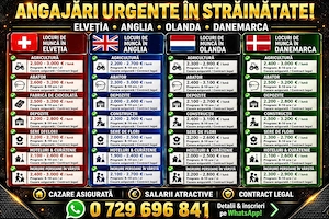 Angajari Urgente in Strainatate