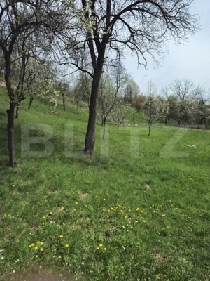 Oportunitate de Investiție în Runcu: Reședință cu Vedere Panoramică  - imagine 15