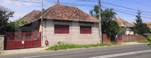 Teren intravilan generos + 2 case – 15.277 mp, front 30 m, multiple posibilități - imagine 2