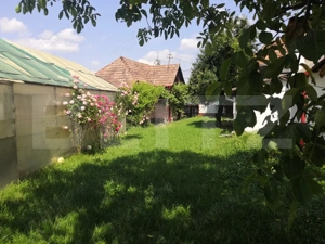 Teren intravilan generos + 2 case – 15.277 mp, front 30 m, multiple posibilități - imagine 8