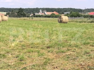 Teren intravilan generos + 2 case – 15.277 mp, front 30 m, multiple posibilități - imagine 11