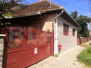 Teren intravilan generos + 2 case – 15.277 mp, front 30 m, multiple posibilități - imagine 4