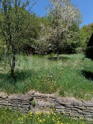 Cabana munte, 60 mp, zona iesire Praid  - imagine 4