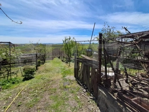 Nazna | Casă + 2900 mp teren - imagine 20