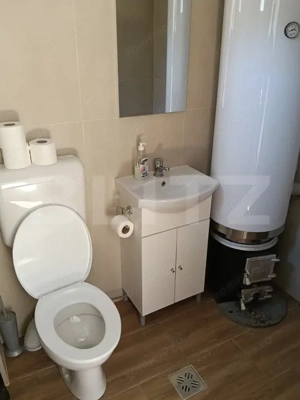 Cabana munte, 60 mp, zona iesire Praid  - imagine 3