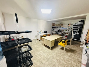 Spațiu comercial SAD | 234 mp | Comision 0% | Acces TIR | Vizibilitate | Parcare CP3070158 - imagine 7