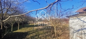Teren Intravilan 1200 mp | NECONSTRUIBIL | Zona Cetate