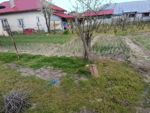 Casa de vanzare CELARU Dolj teren 8481 mp - imagine 6