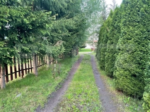 Casă de vacanță / cabană Câmpu Cetății – 2460 mp teren - imagine 2