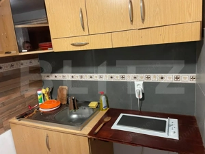 Casă de vacanță / cabană Câmpu Cetății – 2460 mp teren - imagine 5