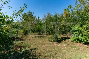 Casa de vanzare in Rovina(Branisca) - imagine 10