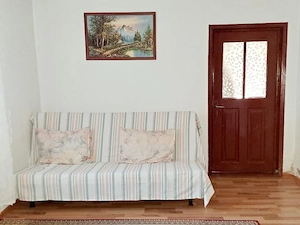 Casa de vanzare-Sat Profa Deal(35km de pitesti) - imagine 7