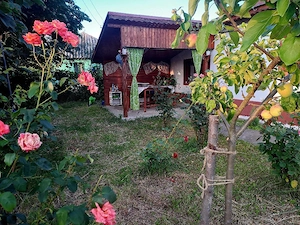 Casa de vanzare-Sat Profa Deal(35km de pitesti) - imagine 10