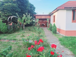 Casa de vanzare-Sat Profa Deal(35km de pitesti) - imagine 9