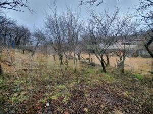 Casa cu teren generos în Ceanu Mic – 1.700 mp, la doar 20 km de Cluj-Napoca - imagine 3