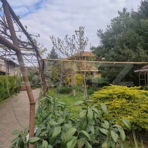 Proprietate premium cu potențial rezidențial și comercial | 1200mp Teren