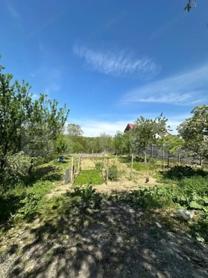 Casă de vânzare, 76 mp utili, teren 1.500 mp, vedere panoramică, zona Bucium - imagine 2
