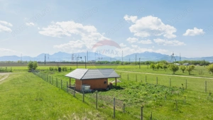 Teren 1300 mp | Sanpetru | zona Livada - imagine 6