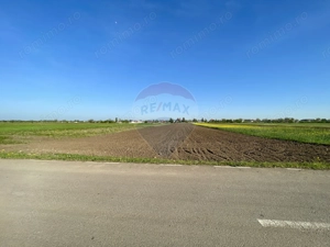 Teren Intravilan 6.220 mp | Strejnicu, Strada Livezilor