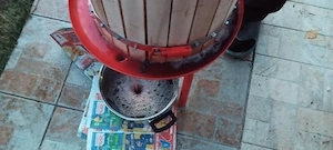 teasc struguri