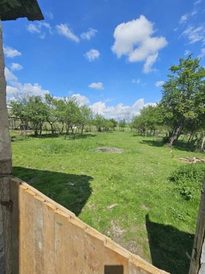 Casa la tara in Rogoz, Bihor, teren 1427 mp, acces auto - Vanzare - imagine 6